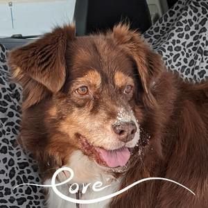 Meet your Posher, Kathie